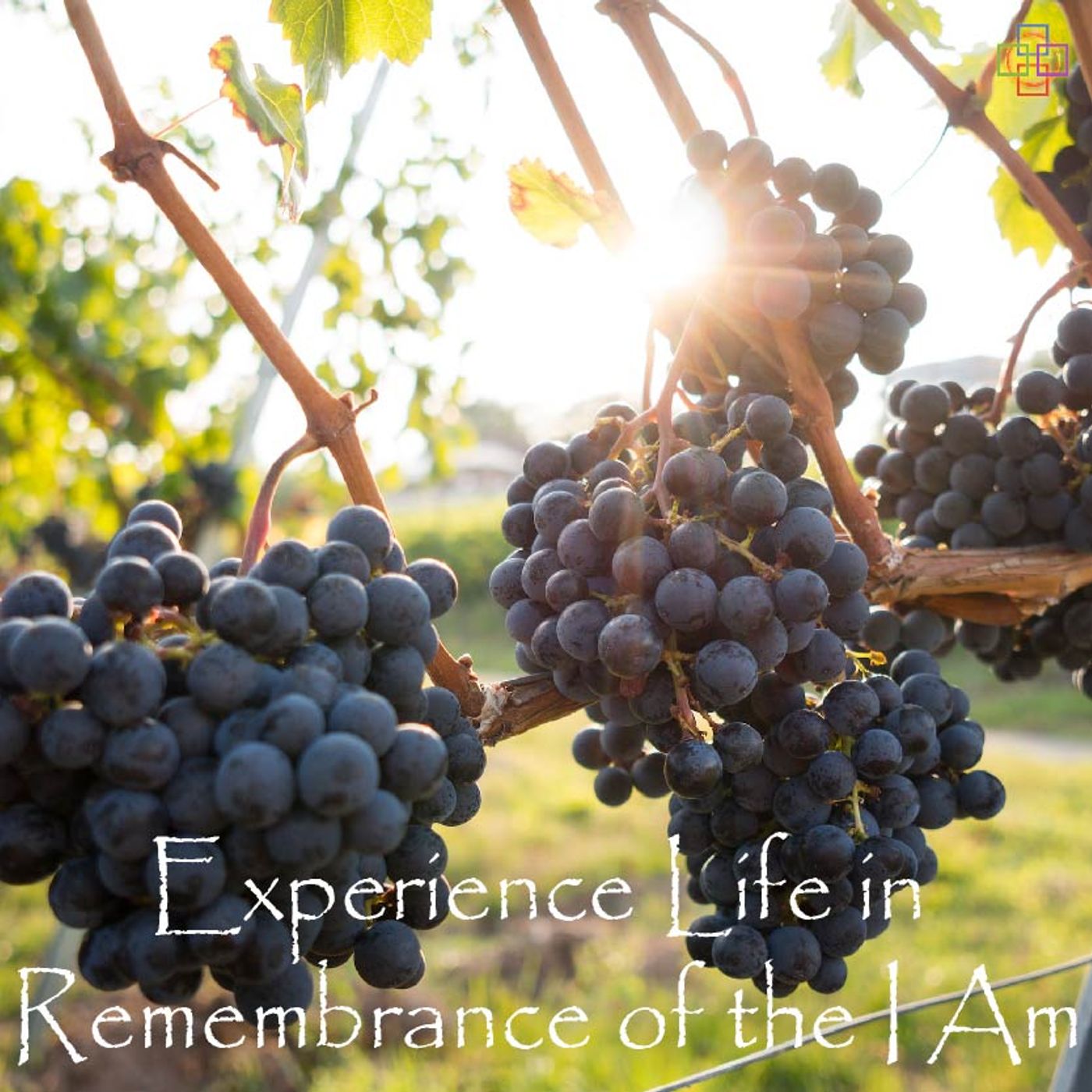 Experience Life in Remembrance of the I Am episode artwork