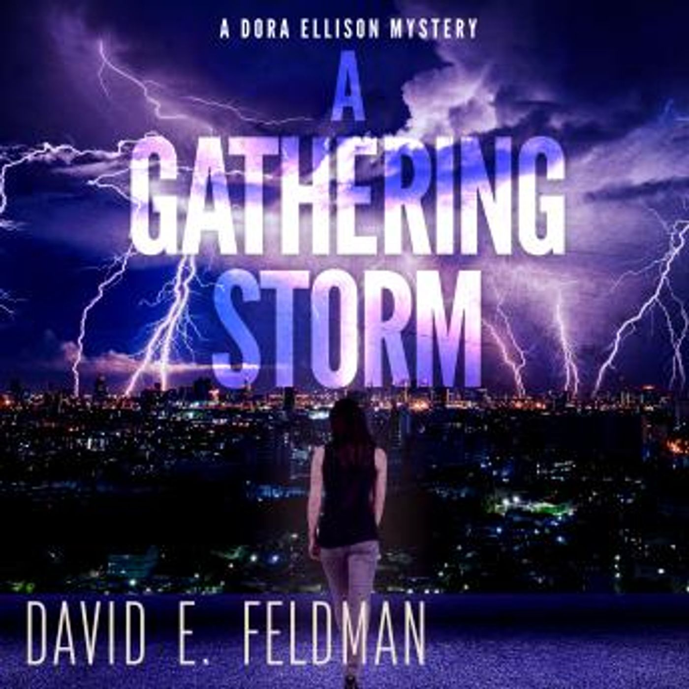 A Gathering Storm: A Murder Mystery Thriller: Dora Ellison Mystery, Book 2 by David E. Feldman episode artwork