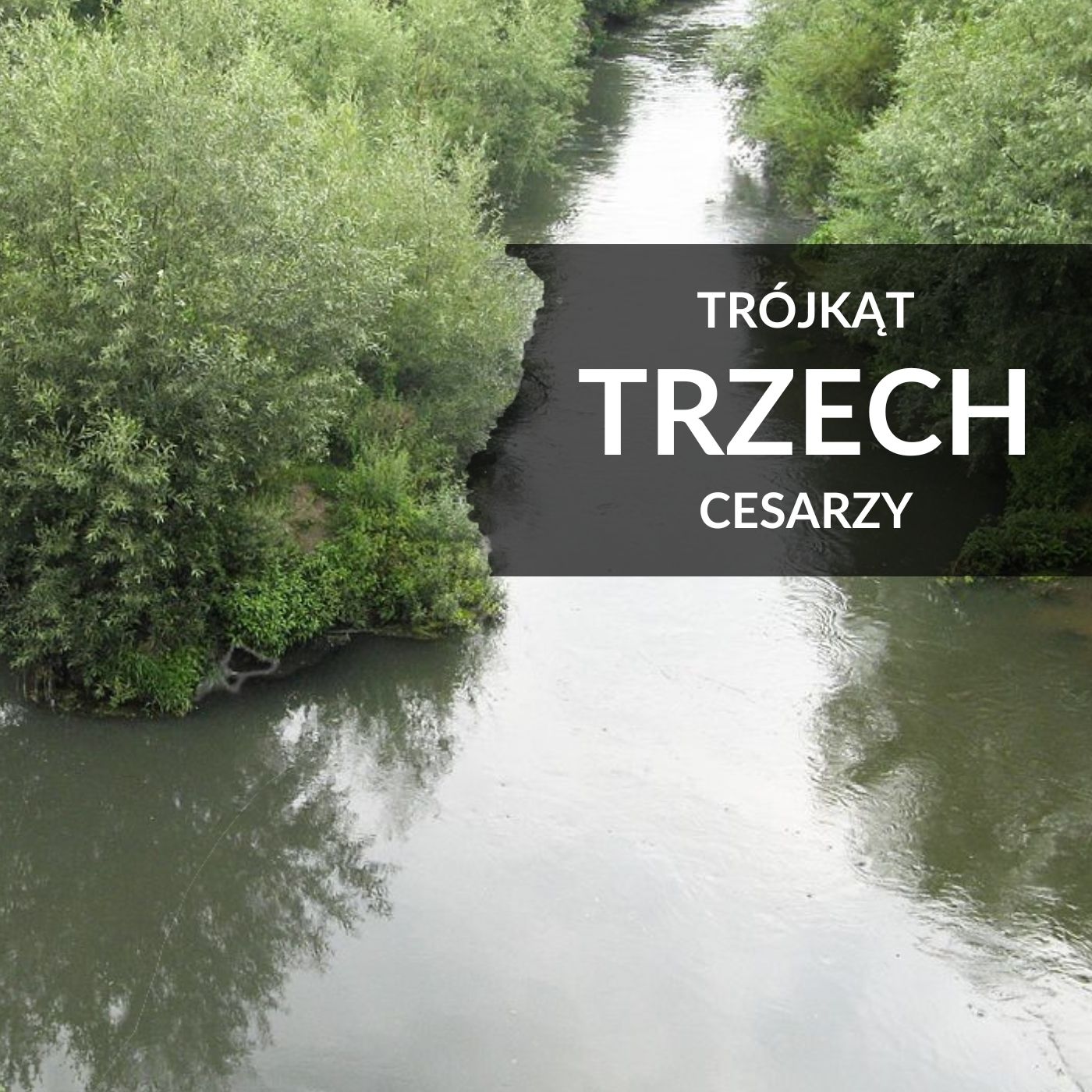 Zagłębie Młodych