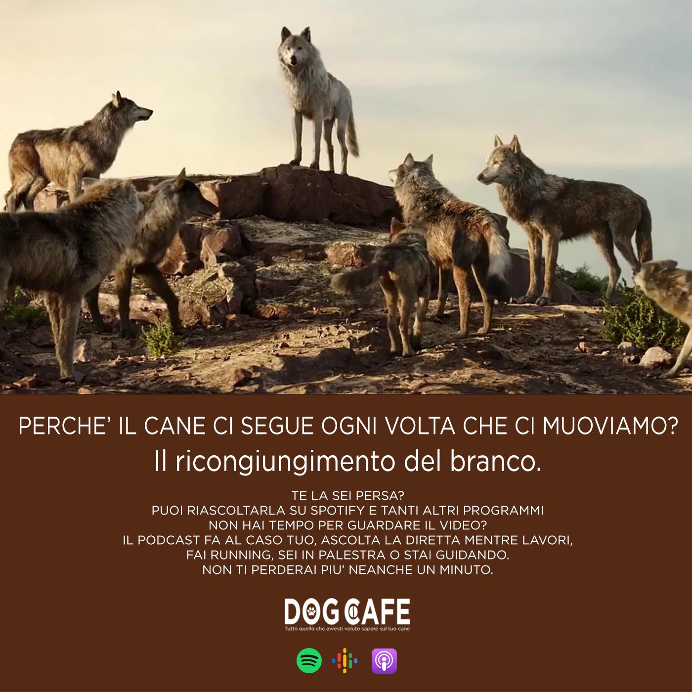 Dog Cafe Podcast