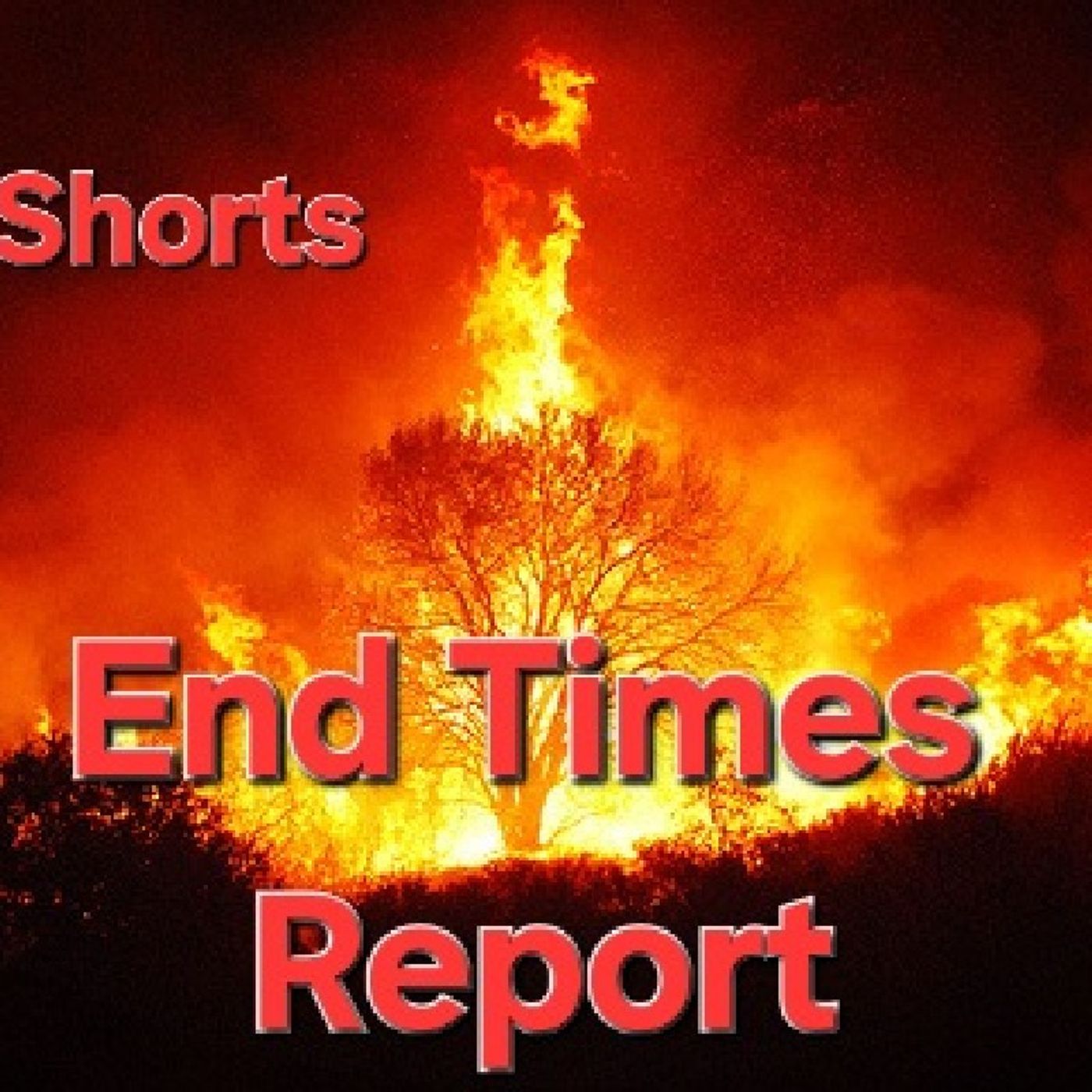 End Times Report episode artwork