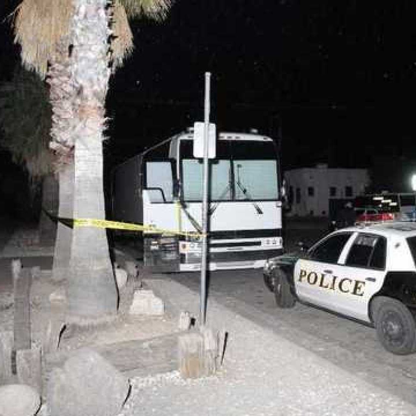 קקי טהור cover art