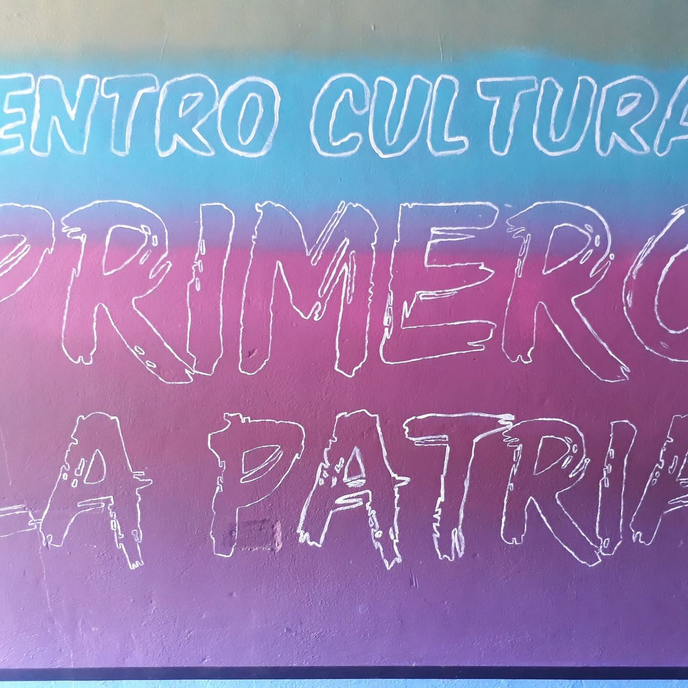 Primero la Patria - 1er Emisión
