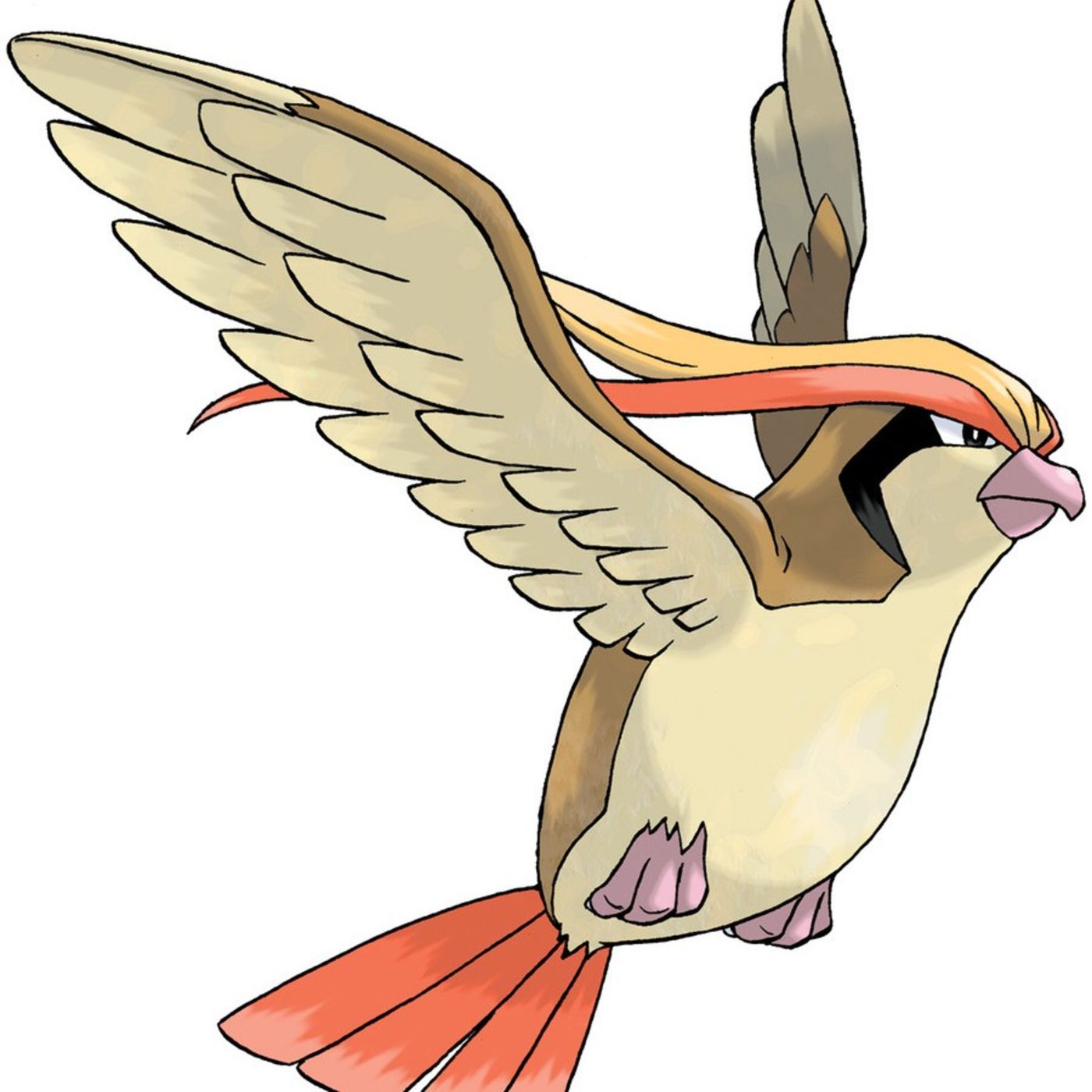 #018 Pidgeot
