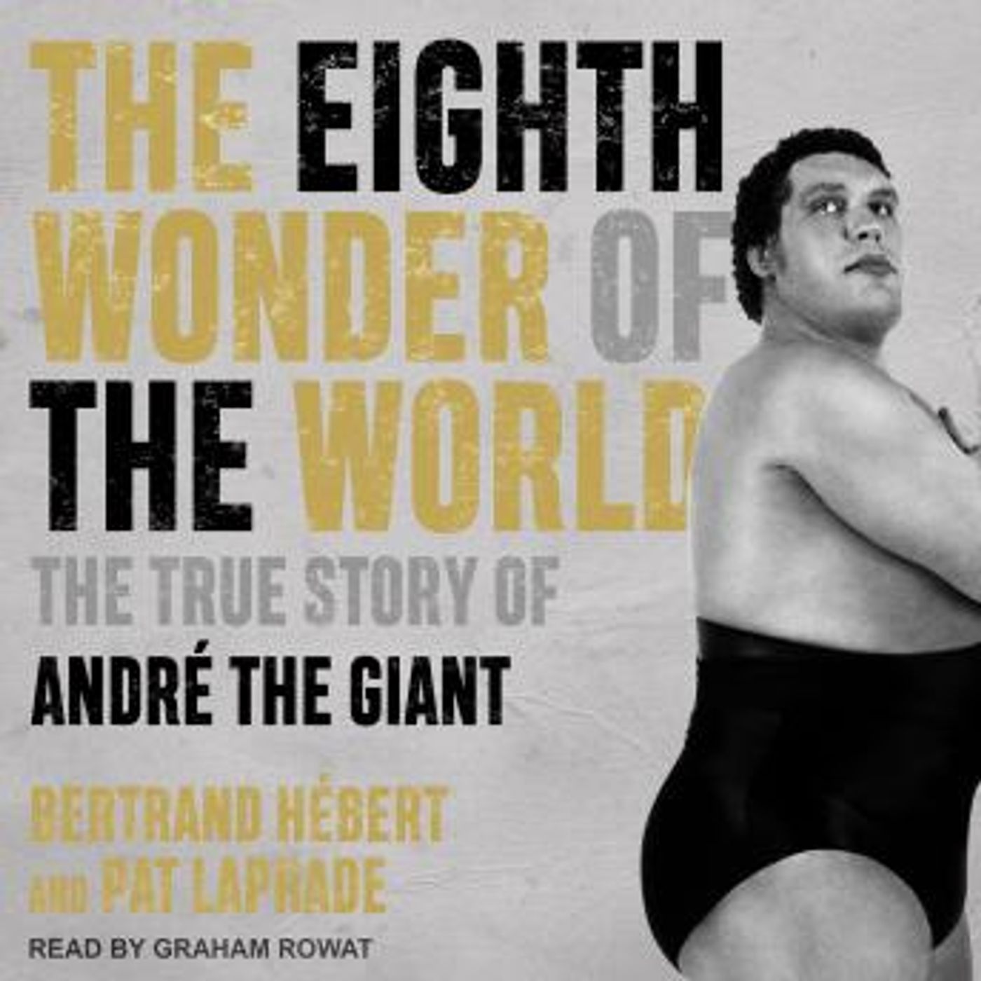 Best Full Audiobooks in Biography & Memoir, Sports