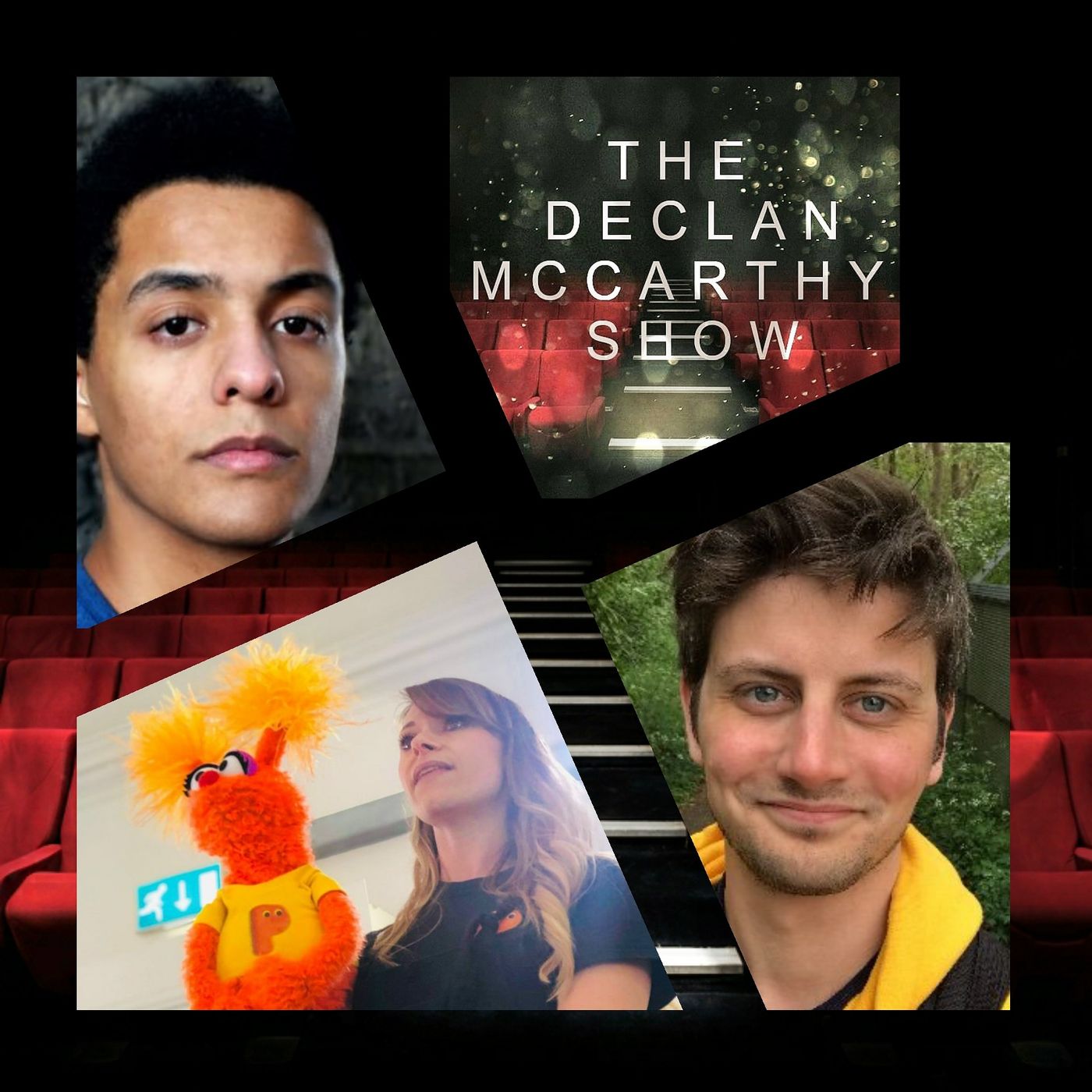 The Declan McCarthy Show