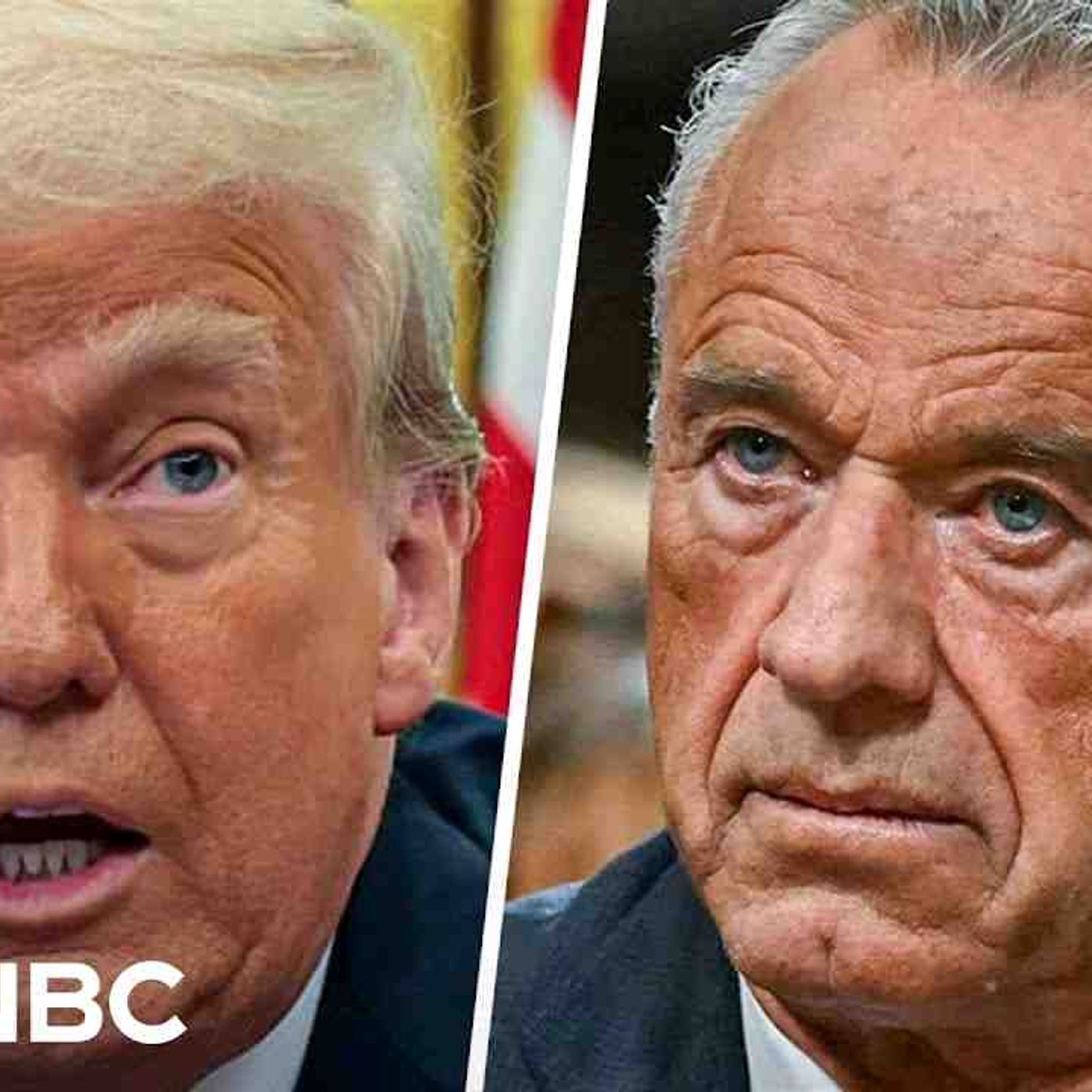 RFK Jr. _cannot remain in office_ after MAHA report cited fake studies_ Doctor(MP3_160K) episode artwork