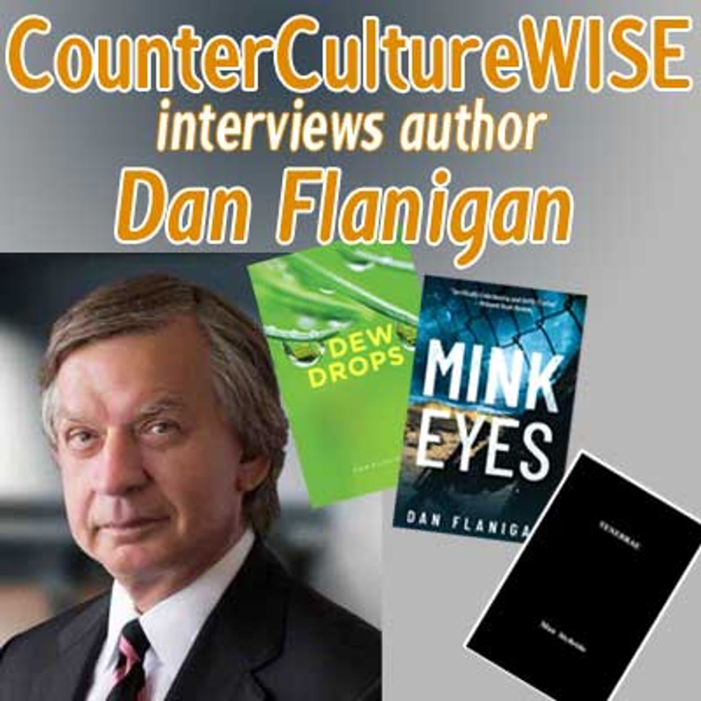 CounterCultureWISE