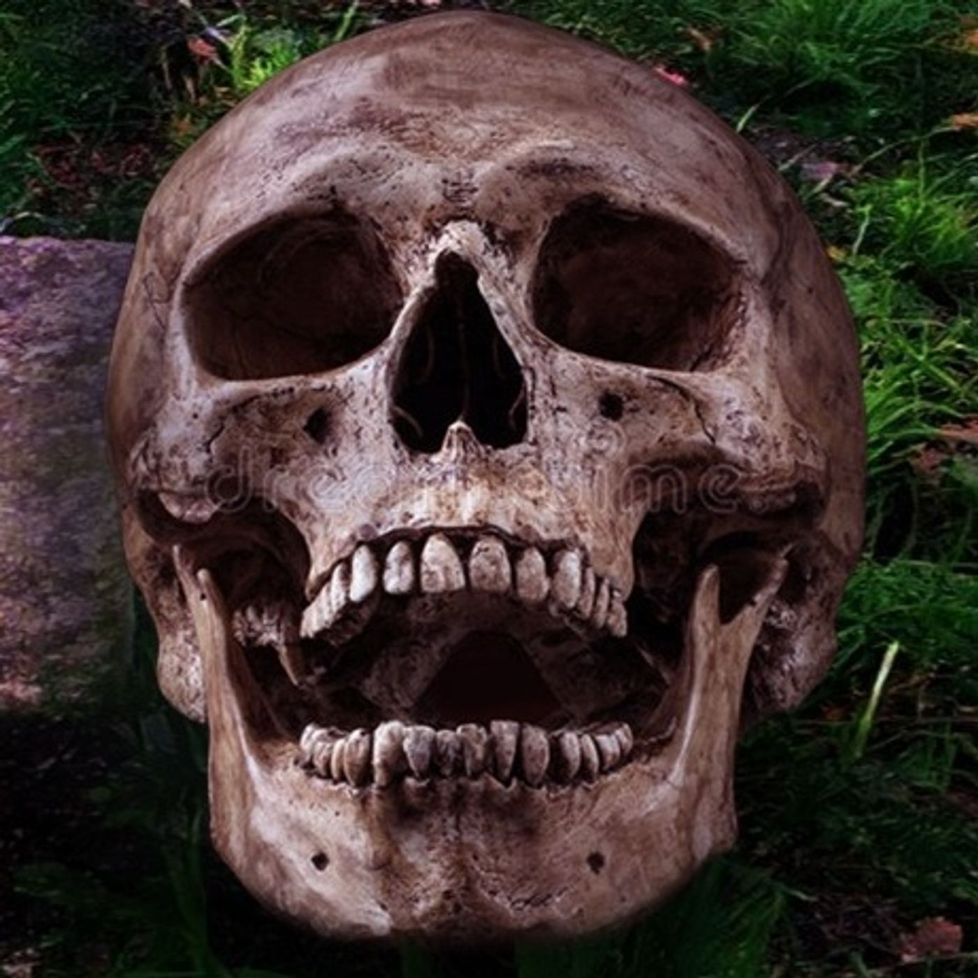 Espíritu Abandonado Historias De Terror - REDE