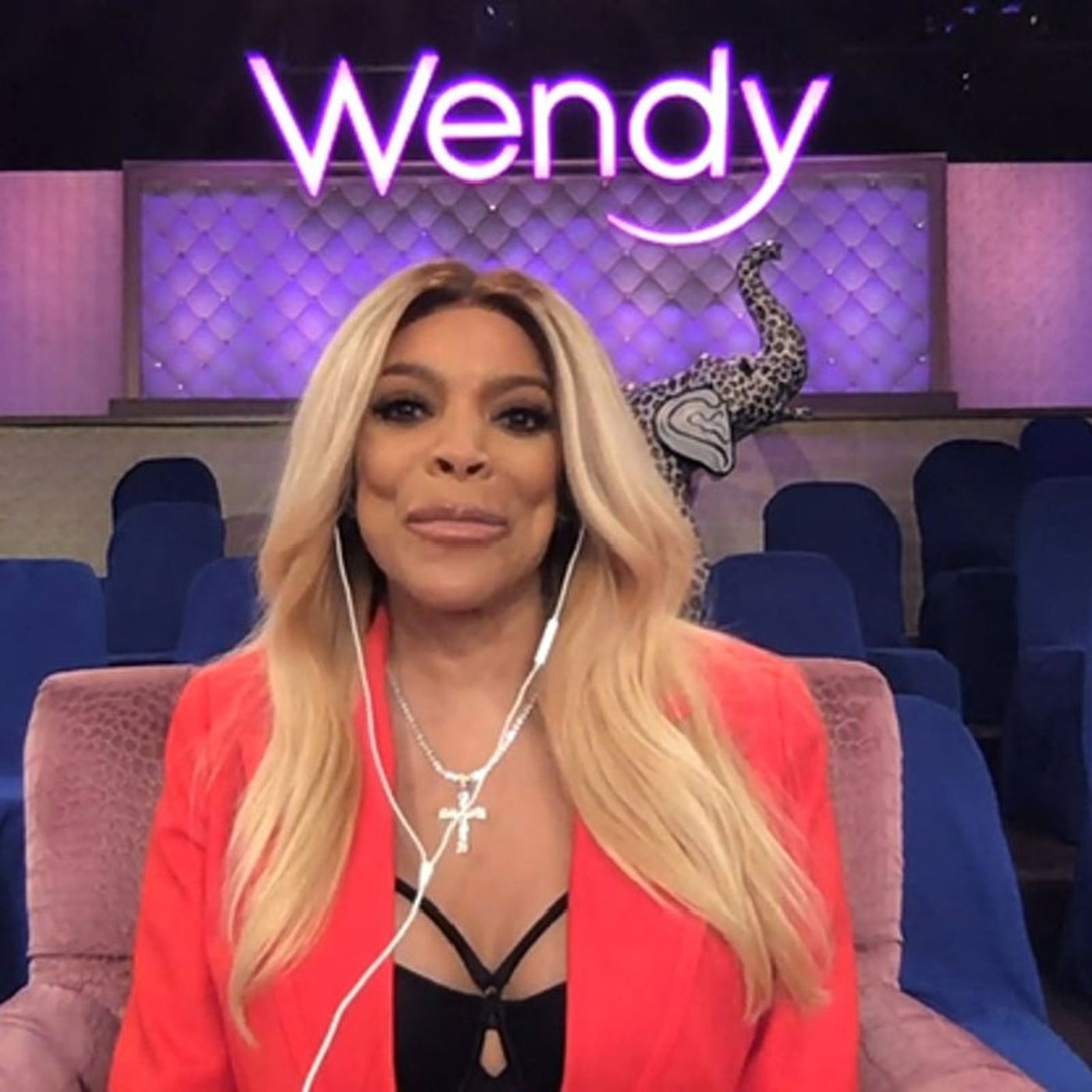 'The Wendy Williams Show' Official YouTube Channel Is Removed Causing Uproar From Fans episode artwork