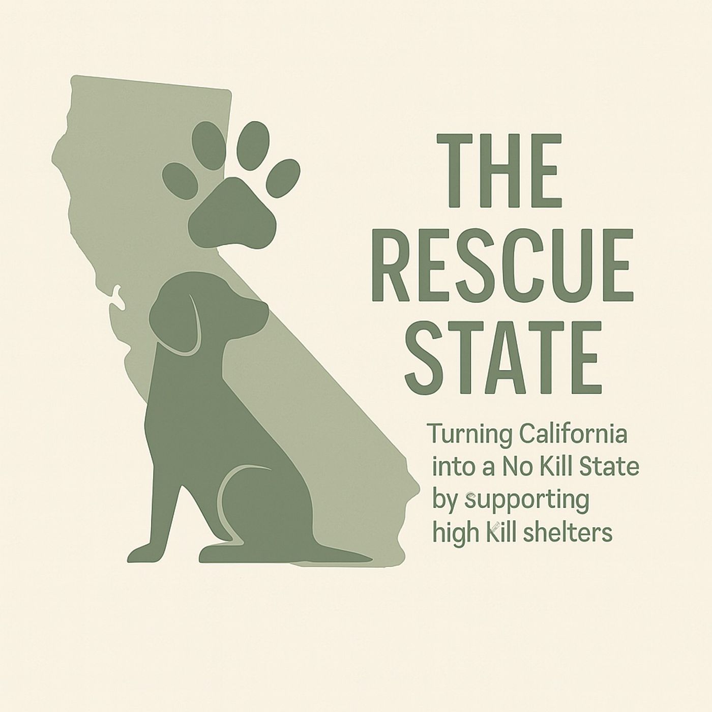 The Rescue State