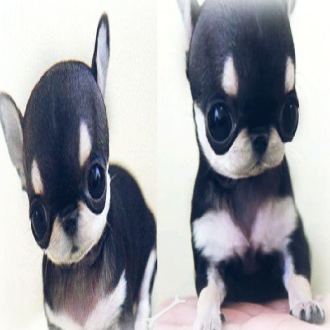 Mundo pós guerra fria