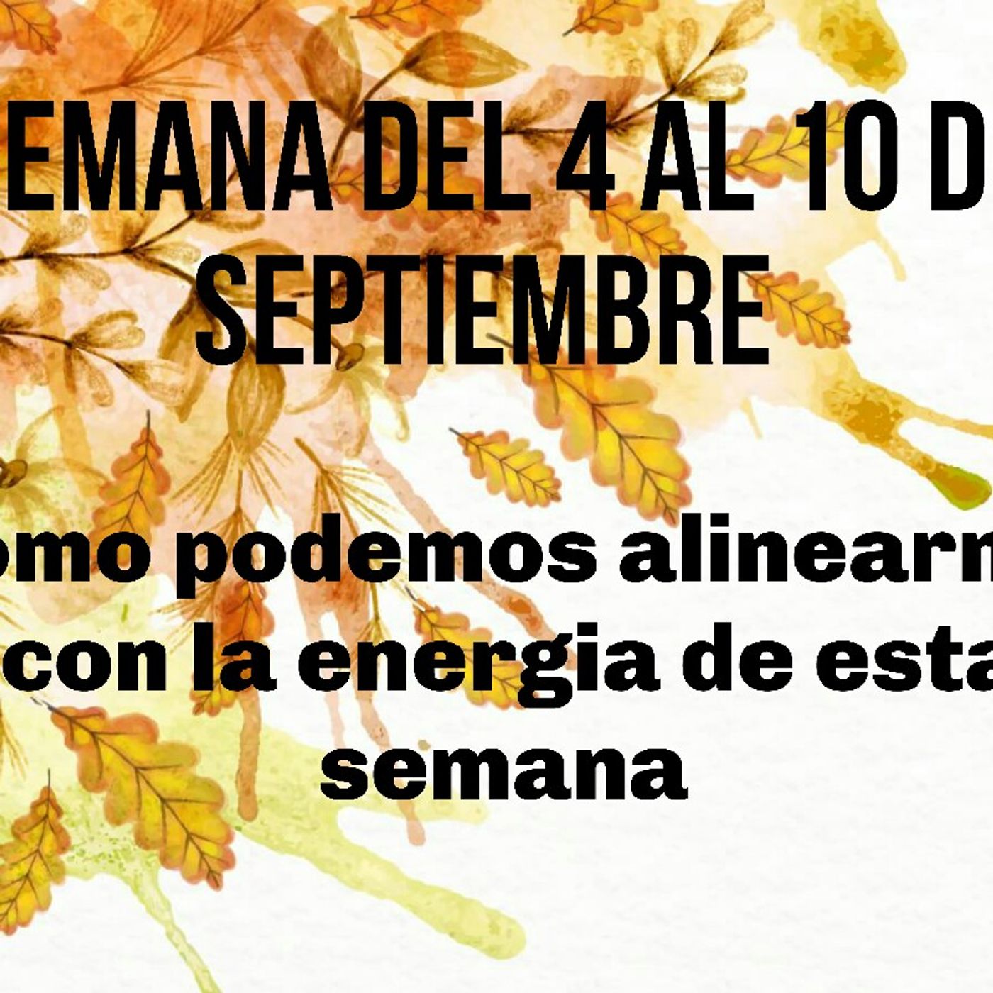 Ana Maria Perez Limones\'s show