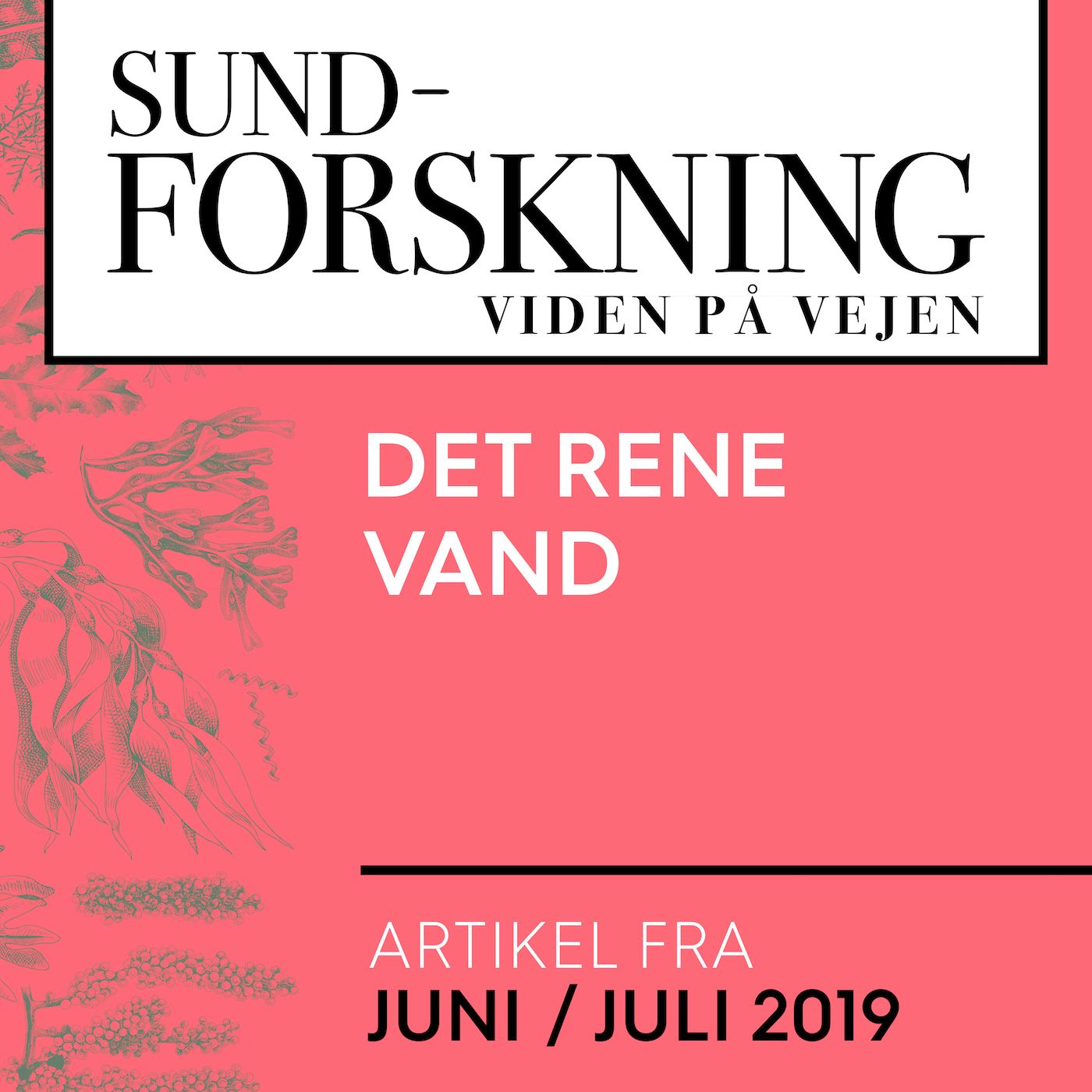 SUND-FORSKNING