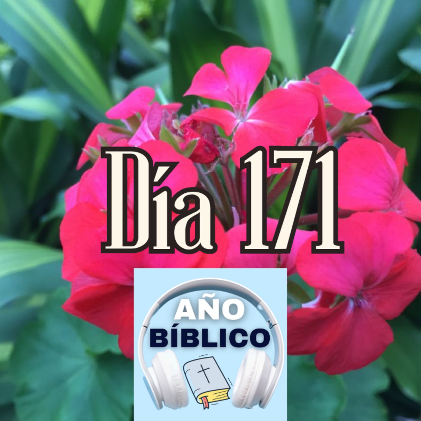 Día 171 - Salmos 73:25-28, 2 Reyes 22:8-20; 2 Reyes 23 y Hechos 28:17-31 episode artwork