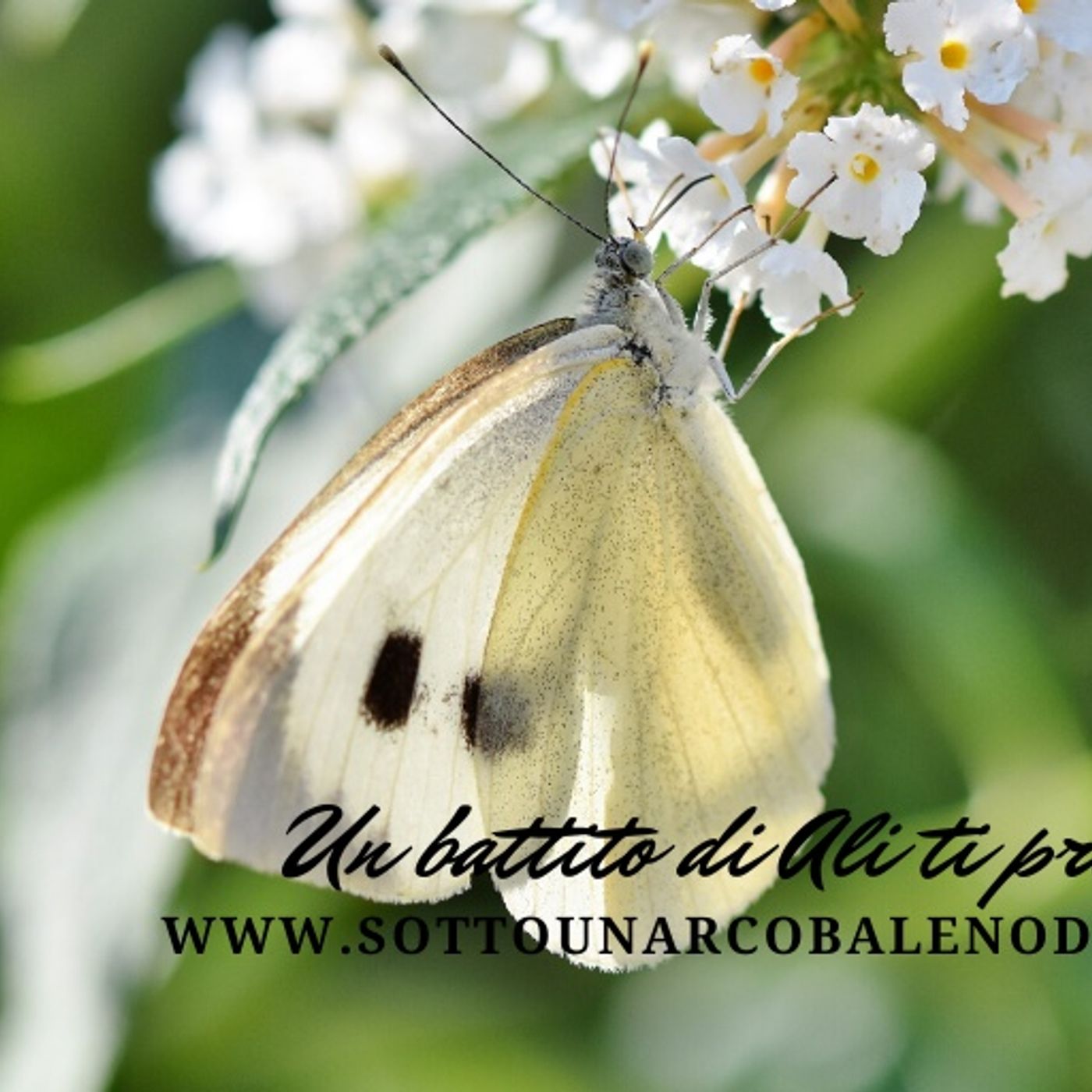 Fiabe e Favole per crescere