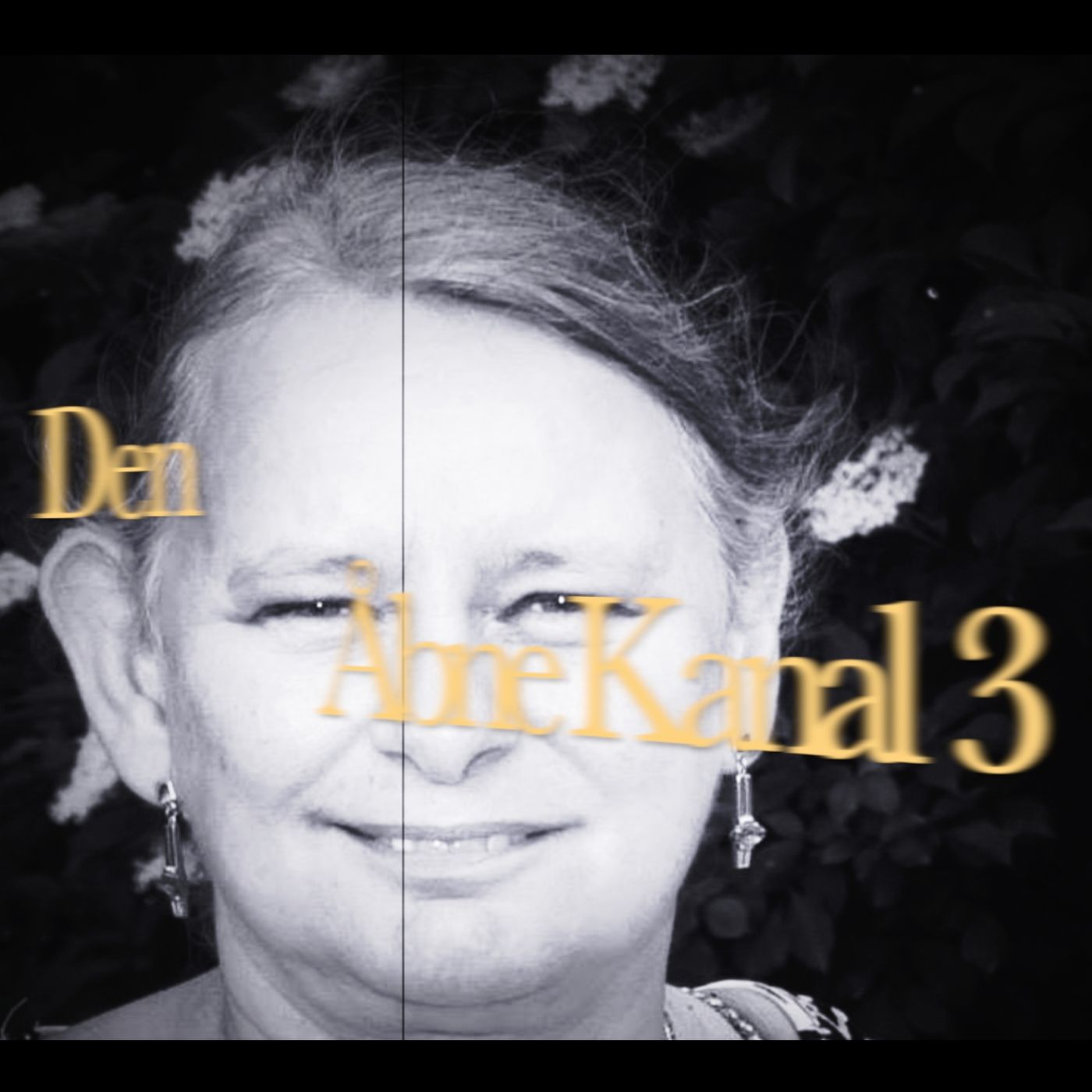 Den Åbne Kanal