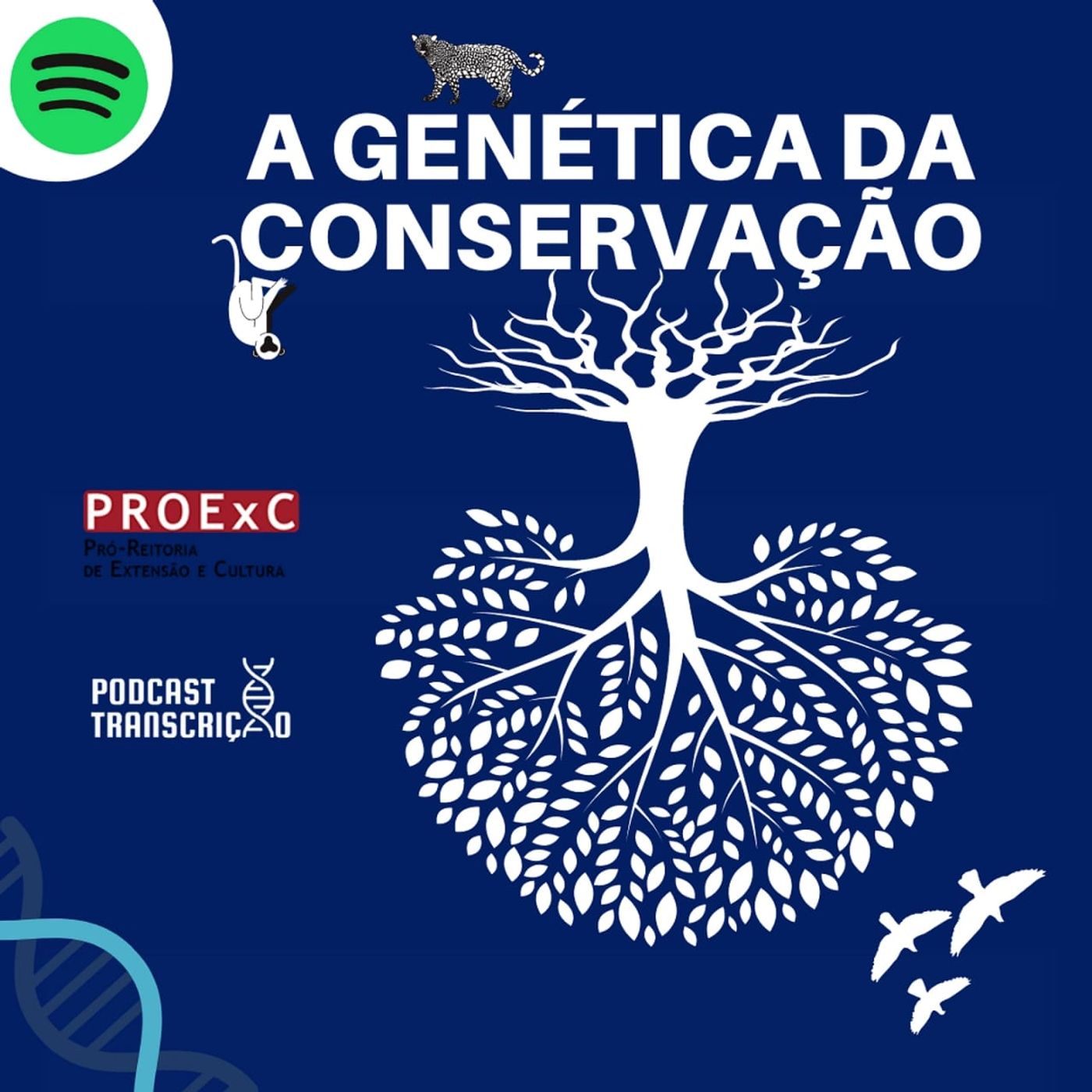 Podcast Transcrição