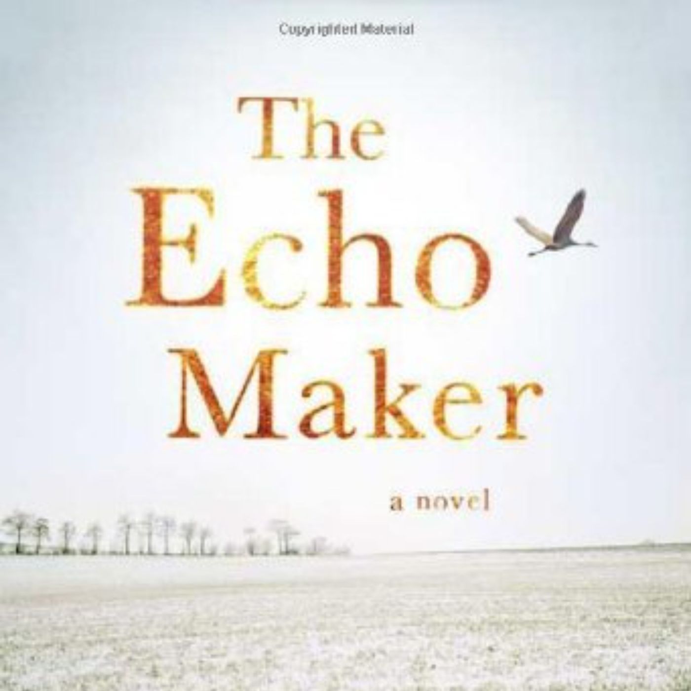 Echoes of Identity: Exploring Memory and the Human Experience in Richard Powers' The Echo Maker