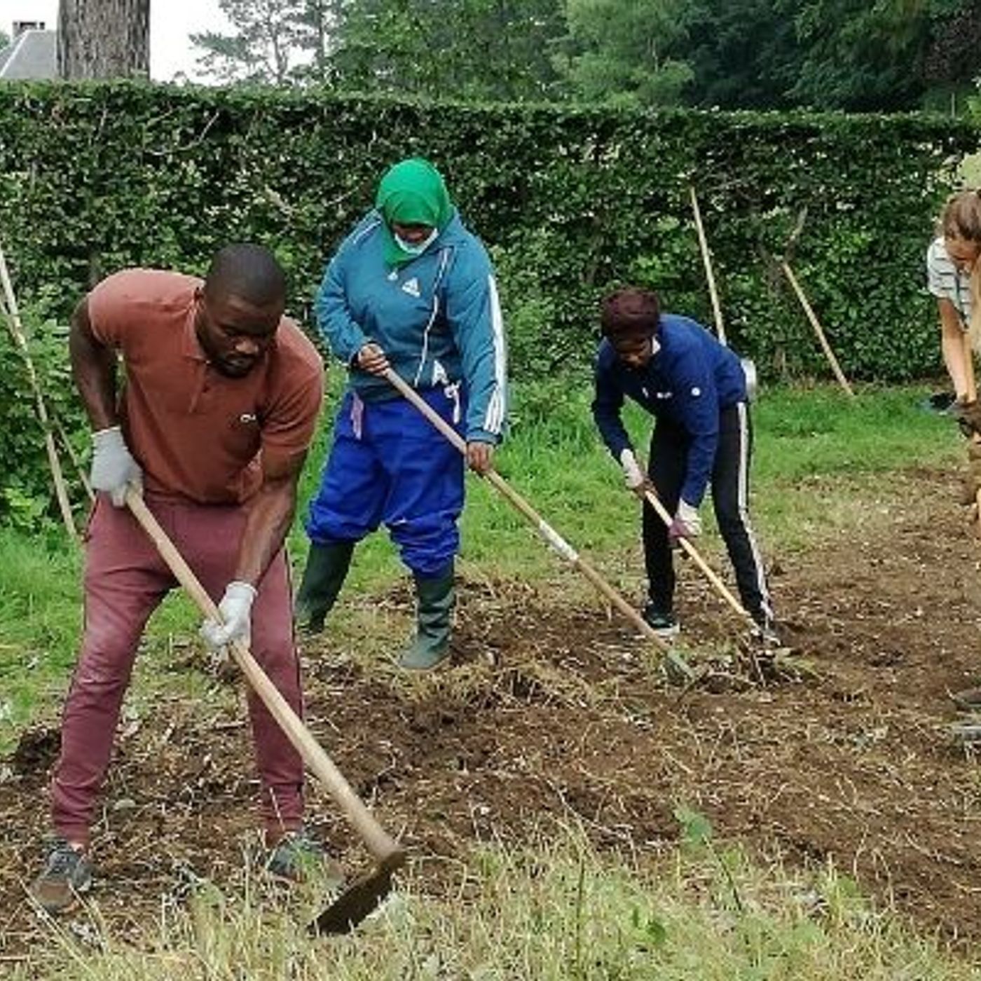 A Wépion, il existe un jardin qui soigne, et solidaire en plus ! episode artwork