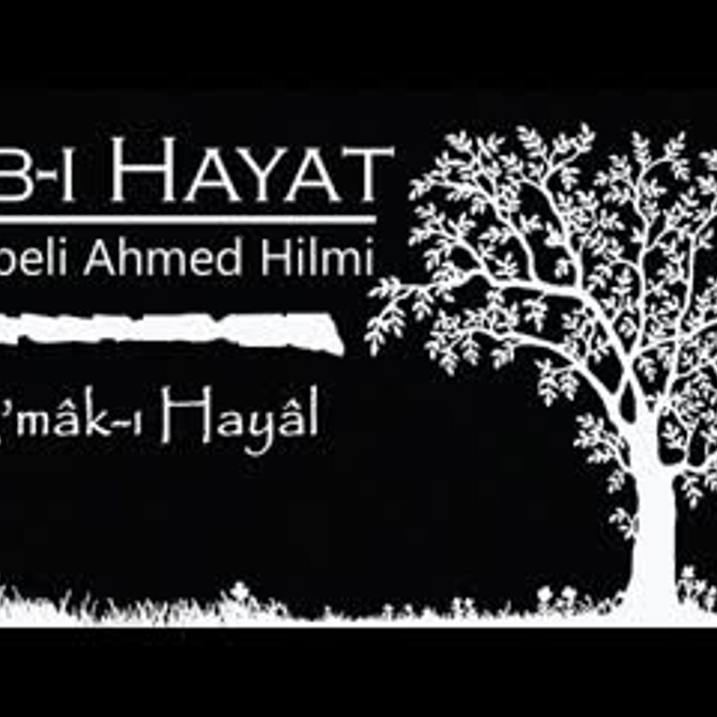 Akın Altan Sesli Kitap