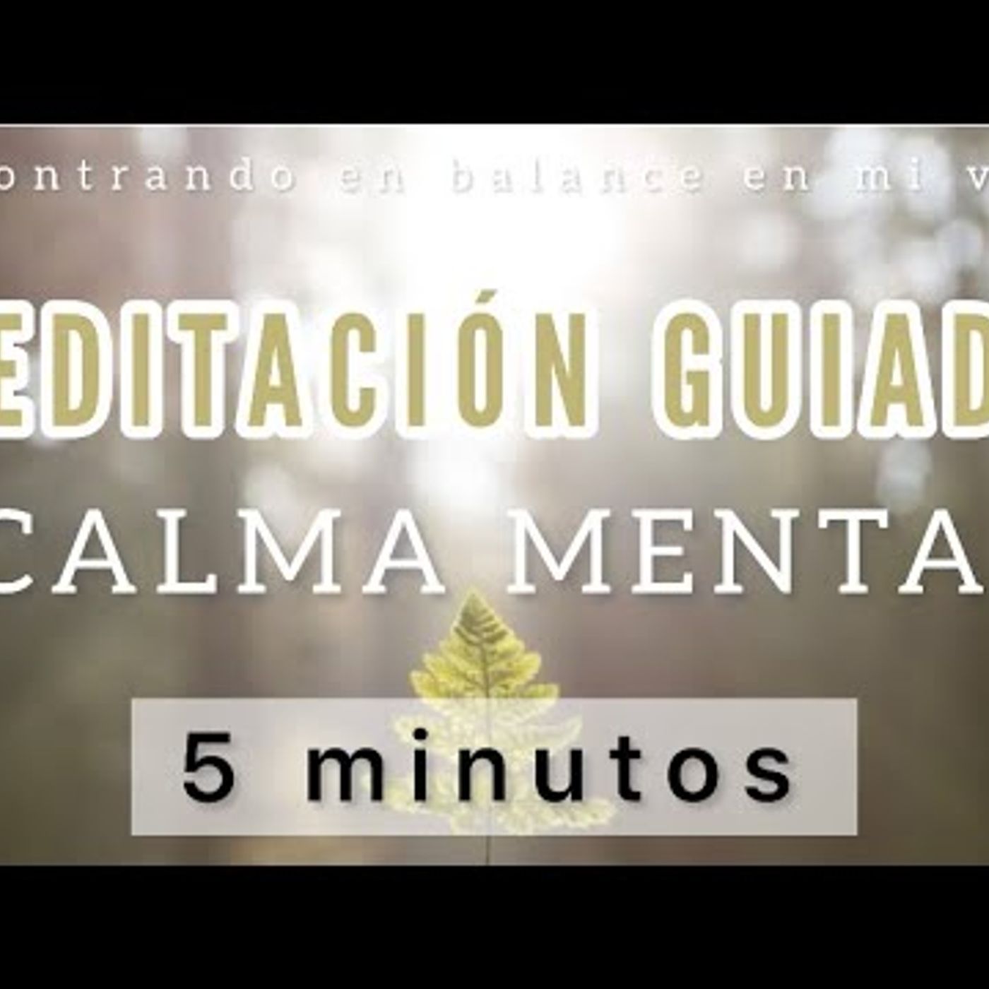 13. Meditación guiada CALMA MENTAL 🍃 - Mindfulness