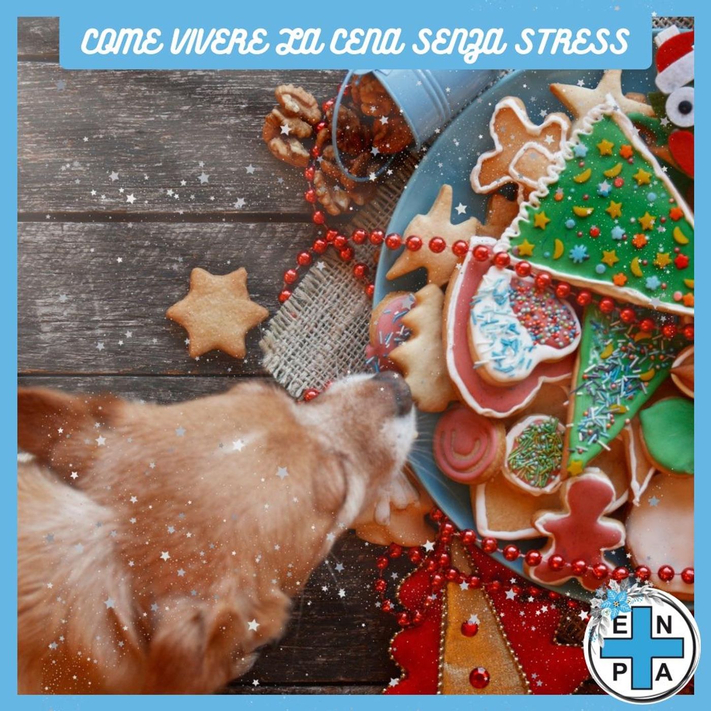 Enpa speciale Natale a 4 zampe, come vivere la cena senza stress episode artwork