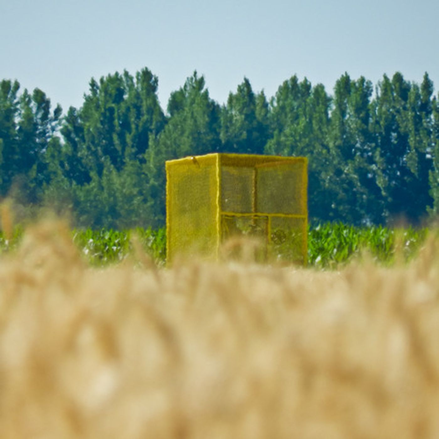 Natural Gas Industry Seeks Local Support in Idaho episode artwork