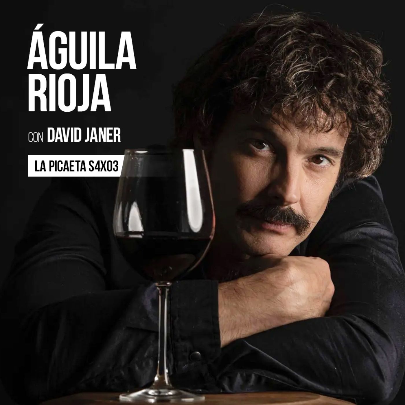 LA PICAETA