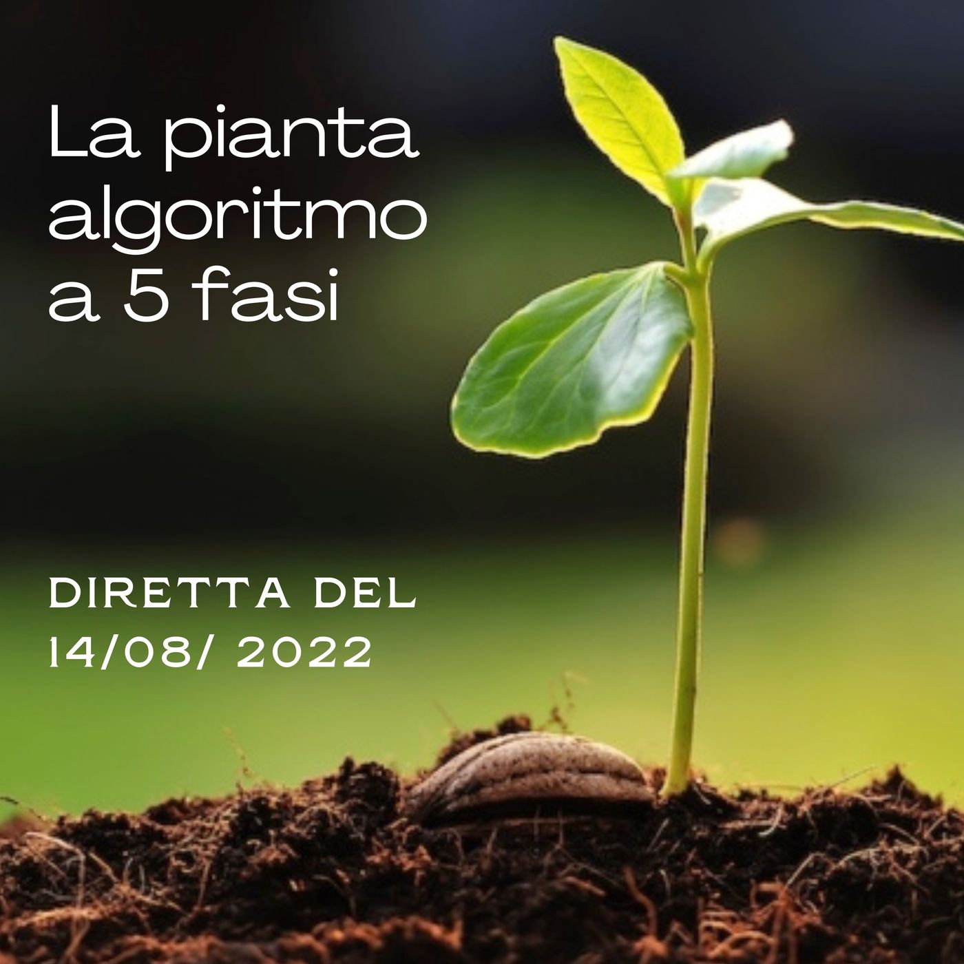Algoritmi e altre storie