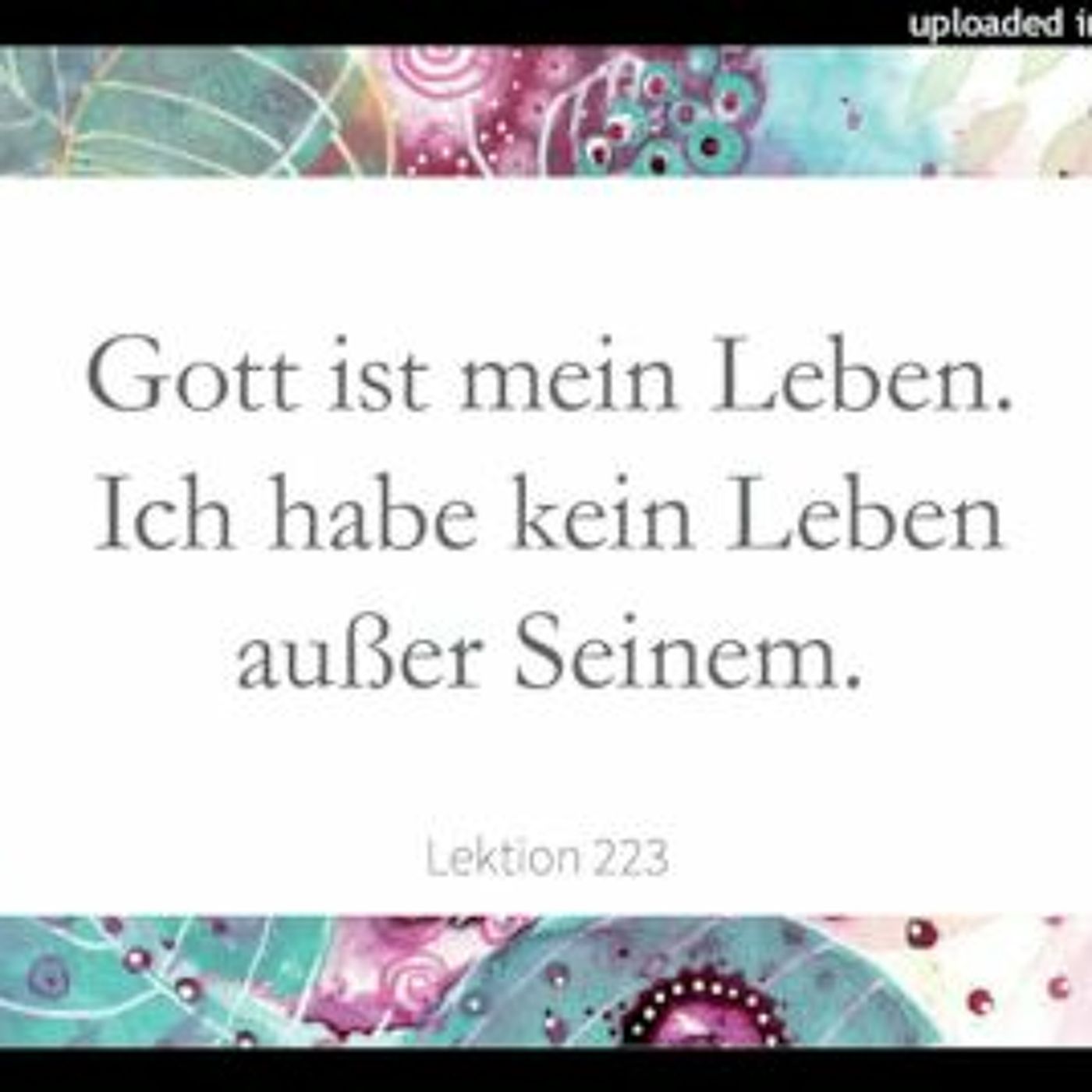 Simone Fugger