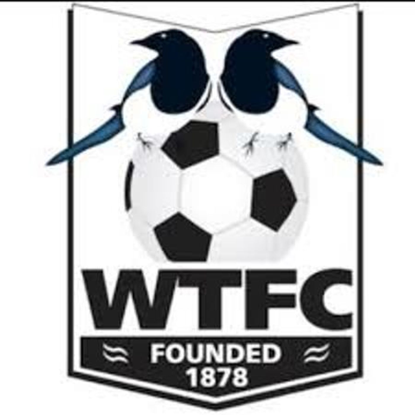 Paulton Rovers v Wimborne Town 2nd Half episode artwork