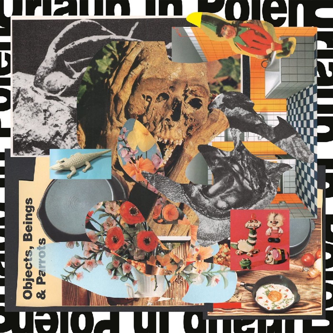 Urlaub in Polen - Objects, beings and parrots - Music Maps Pills episode artwork