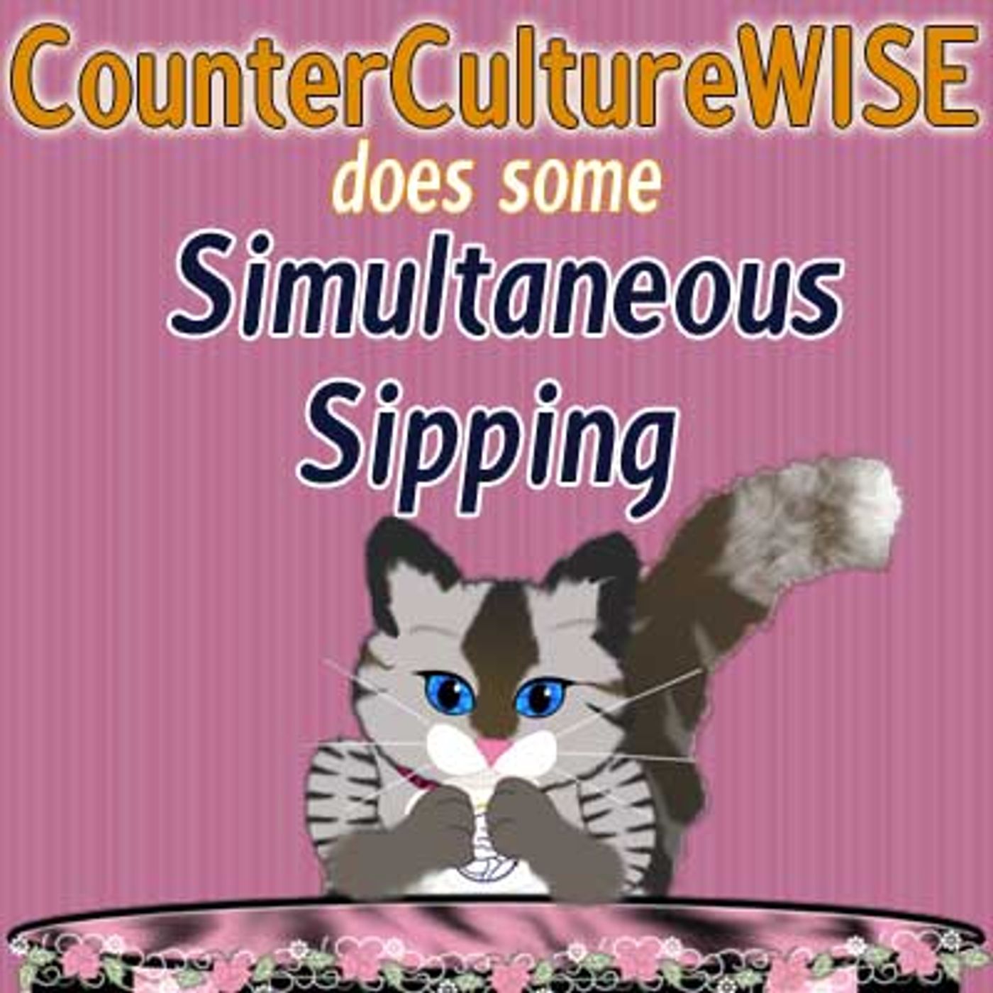 CounterCultureWISE