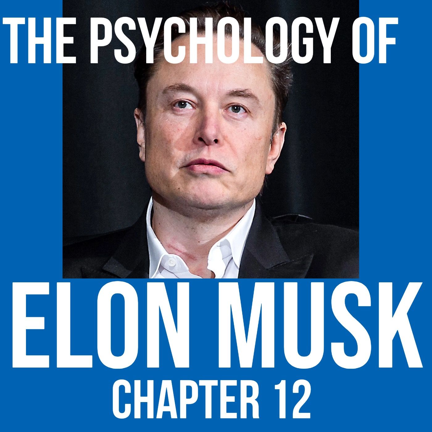 cover of episode The Psychology of Elon Musk (Chapter 12 - Right Wing Safety)