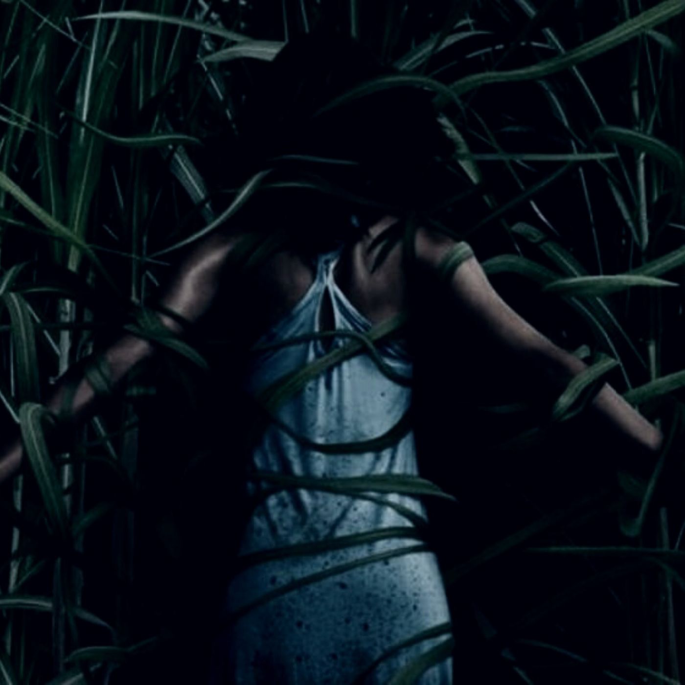 Brujas Del Maizal Historias De Terror - REDE