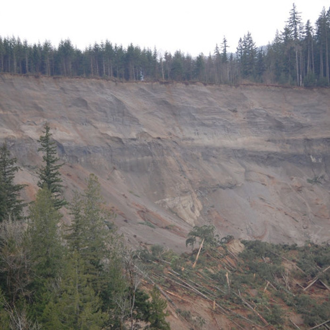 Would Oregon Forestry Rules Have Stopped Logging Above The Oso Landslide? episode artwork