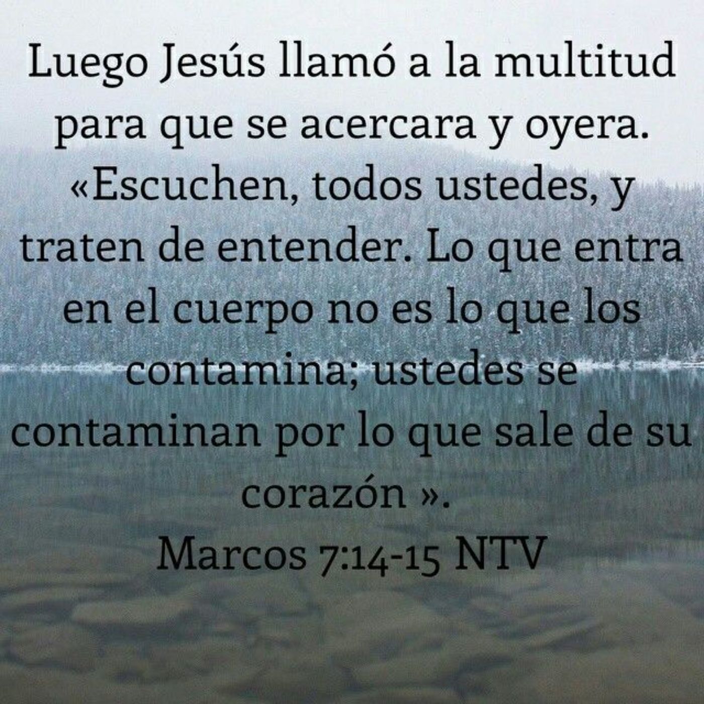 Proyecto hay vida en Jesús