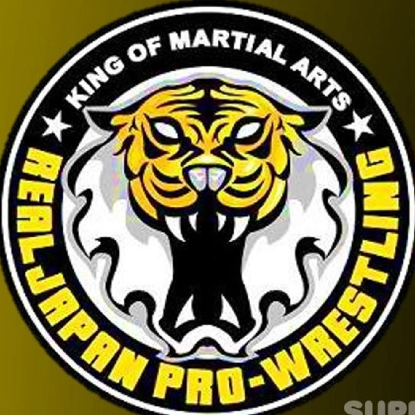 The Wrestling Enthusiast Podcast