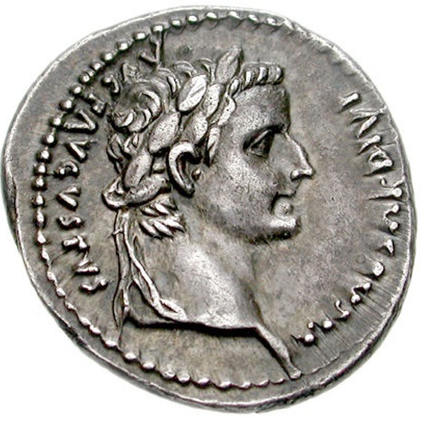La Voce di Cerbaiolo