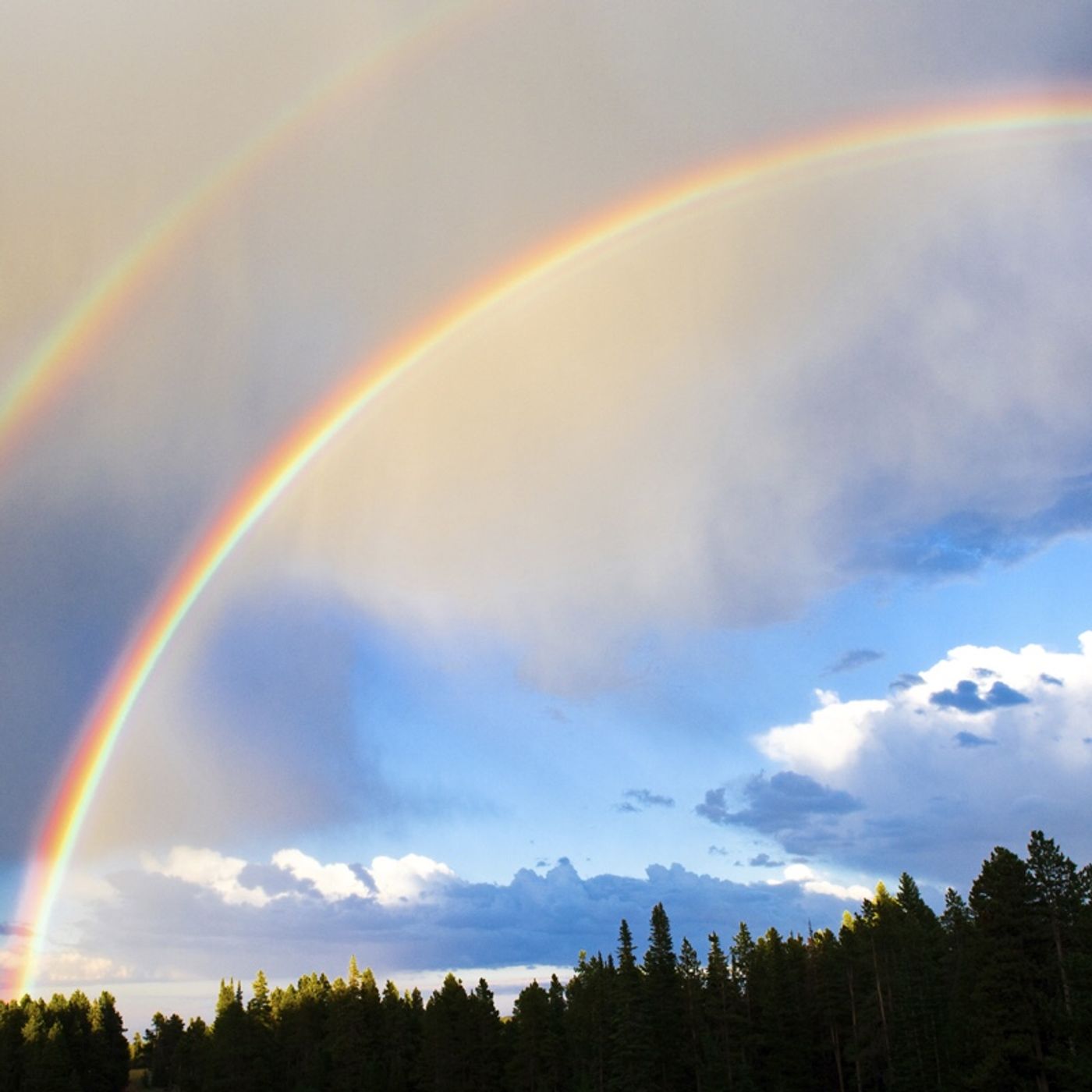 Rainbows episode artwork