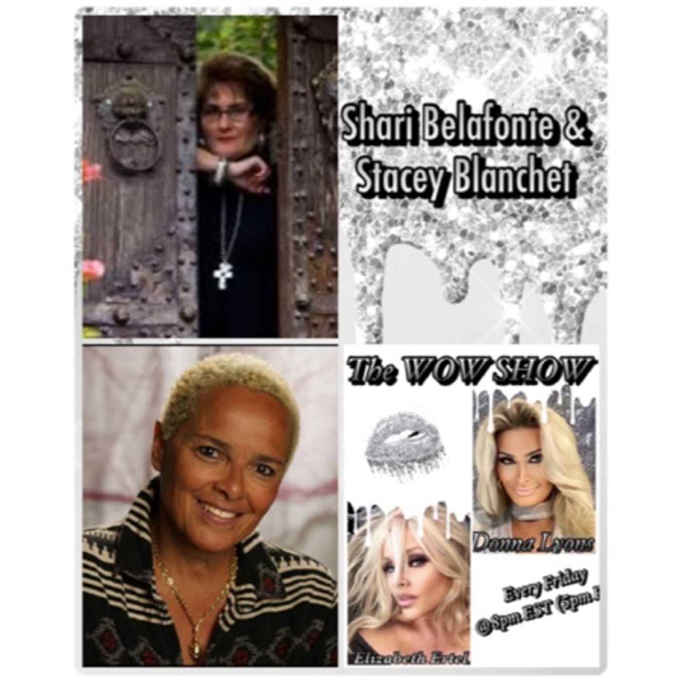 Shari Belafonte and Stacey Blanchet chat with the Ladies on The WOW SHOW episode artwork