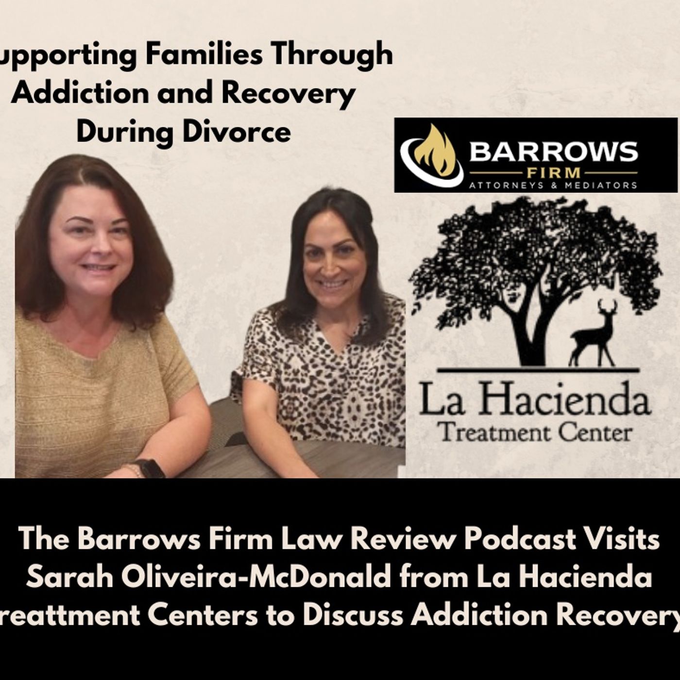 Supporting Families Through Addiction and Recovery During Divorce episode artwork