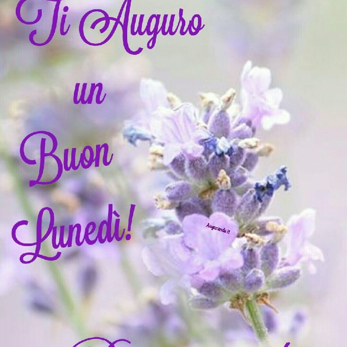 Lo show di Roberta Canu