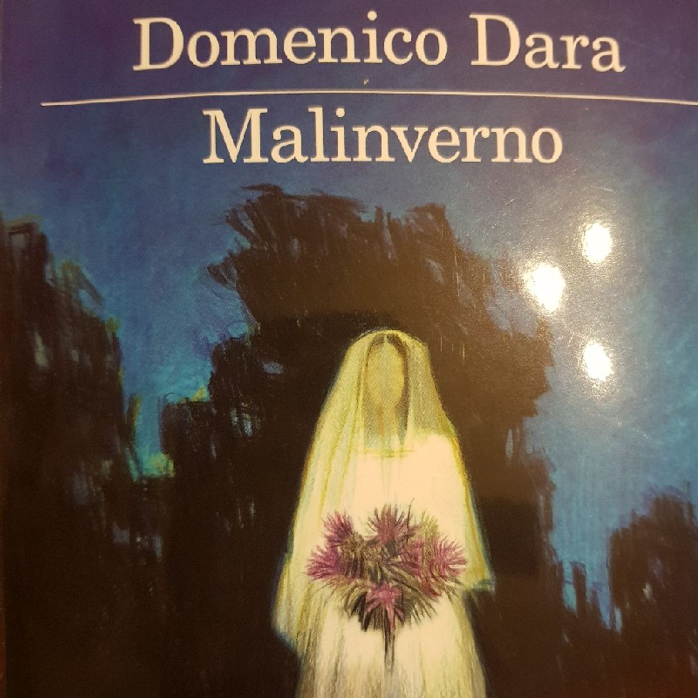 Domenico Dara : Malinverno