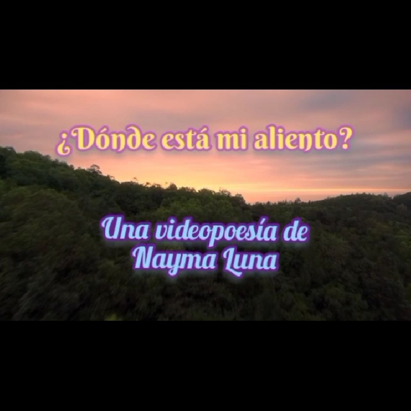 La burbuja de Nayma
