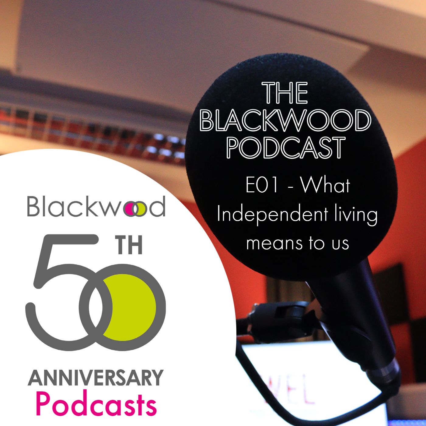 What independent living means to us