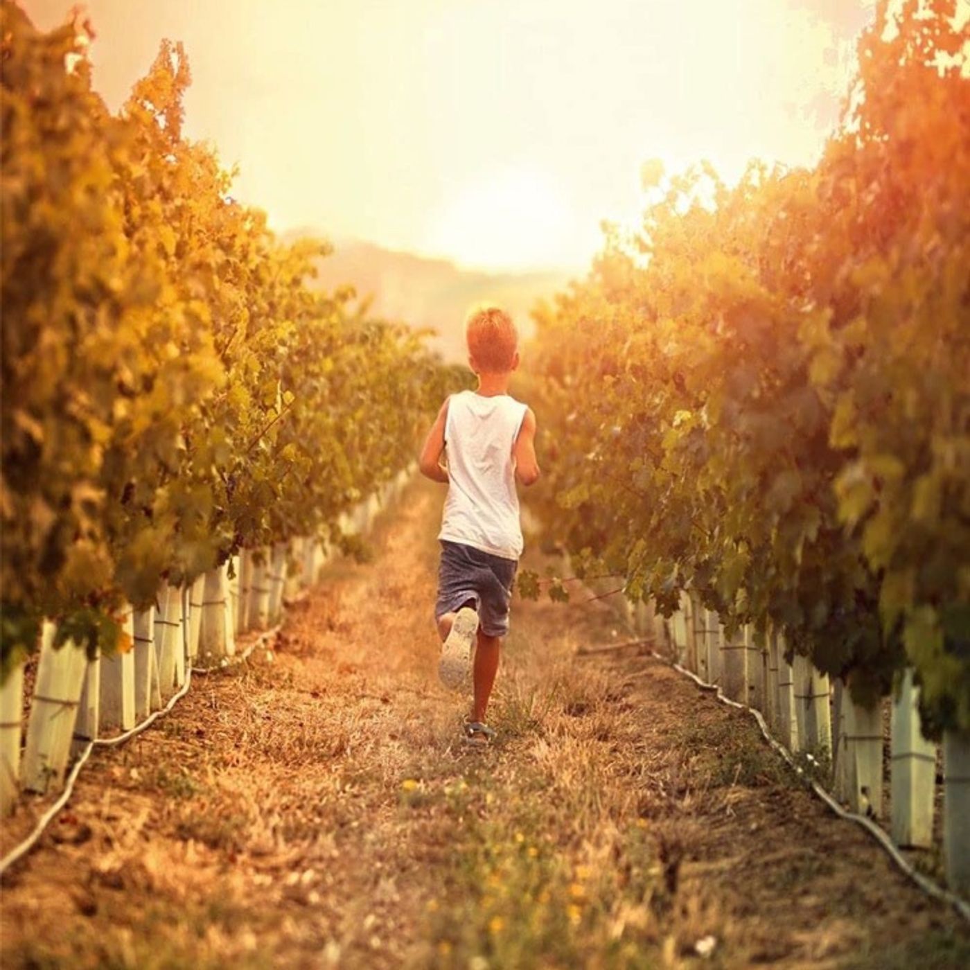 Luca Ammirati: Damiano è indeciso tra passato e futuro. Dove andrà la sua vita?