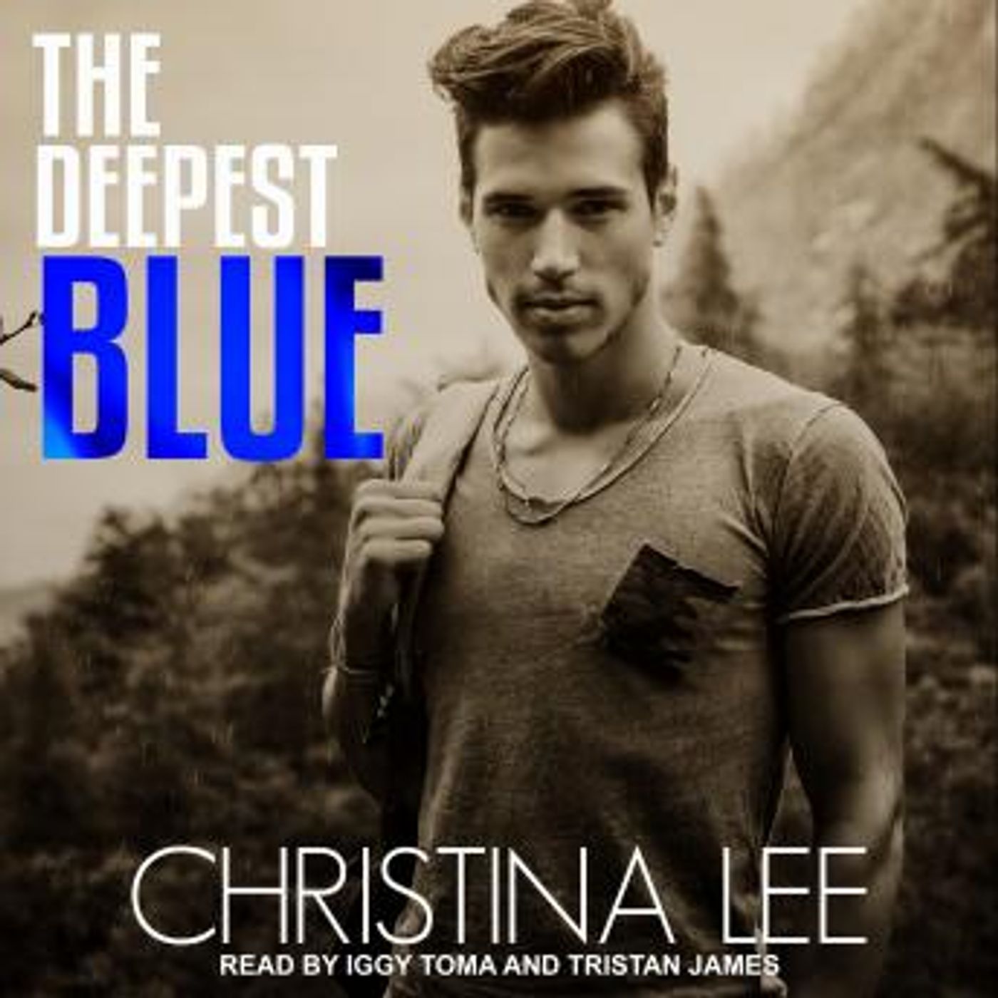 Stream Popular Full Audiobooks in Romance, LGBTQ+