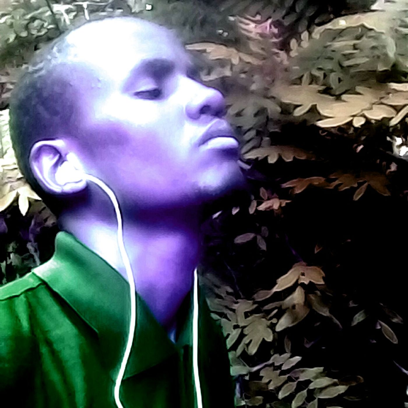 Arch Raymond\'s show